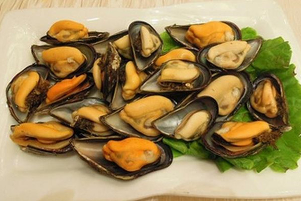 海虹是青口貝嗎 海虹是動物還是植物 海虹是青口貝嗎 海虹是動物還是植物