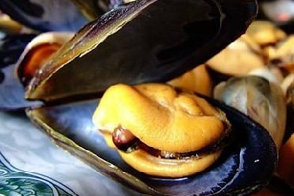 海虹是青口貝嗎 海虹是動物還是植物 海虹是青口貝嗎 海虹是動物還是植物