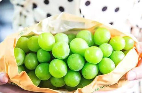 晴王葡萄一斤多少錢(qián) 晴王葡萄什么時(shí)候應(yīng)季