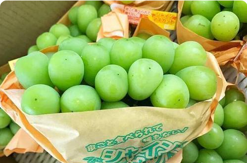 晴王葡萄一斤多少錢 晴王葡萄什么時候應季 晴王葡萄一斤多少錢 晴王葡萄什么時候應季