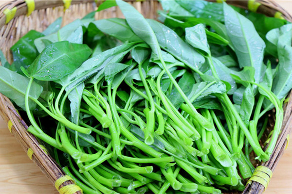 空心菜能解藥性嗎 吃藥后能吃空心菜嗎 空心菜能解藥性嗎 吃藥后能吃空心菜嗎