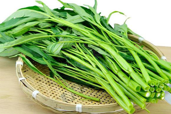 空心菜什么時(shí)候上市 空心菜什么季節(jié)吃最好 空心菜什么時(shí)候上市 空心菜什么季節(jié)吃最好