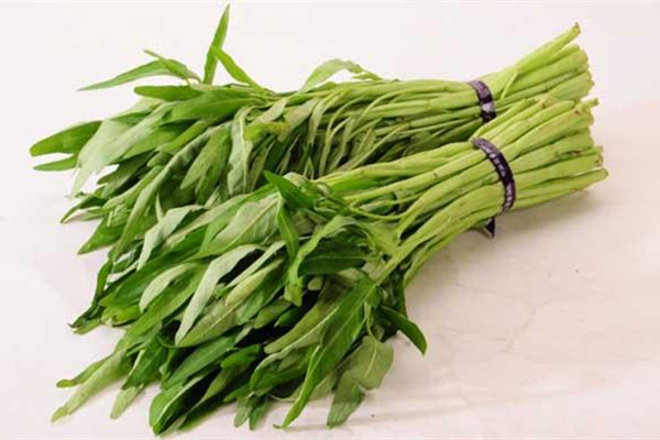 空心菜怎么摘菜 空心菜怎么炒好吃 空心菜怎么摘菜 空心菜怎么炒好吃