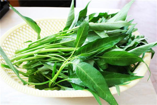 空心菜降血壓血糖嗎 空心菜的功效和作用 空心菜降血壓血糖嗎 空心菜的功效和作用