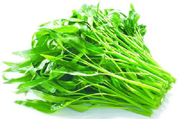 吃空心菜會(huì)腹瀉嗎 空心菜胃不好的可以吃嗎 吃空心菜會(huì)腹瀉嗎 空心菜胃不好的可以吃嗎