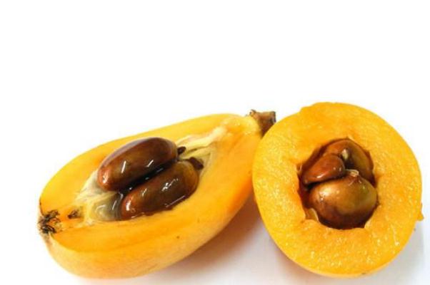 枇杷核為什么不能吃 枇杷核怎么吃治咳嗽 枇杷核為什么不能吃 枇杷核怎么吃治咳嗽