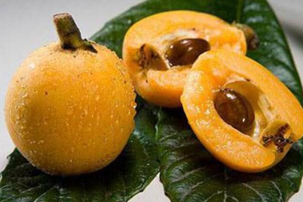 枇杷核可以煮水喝嗎 枇杷核煮水要去核嗎 枇杷核可以煮水喝嗎 枇杷核煮水要去核嗎