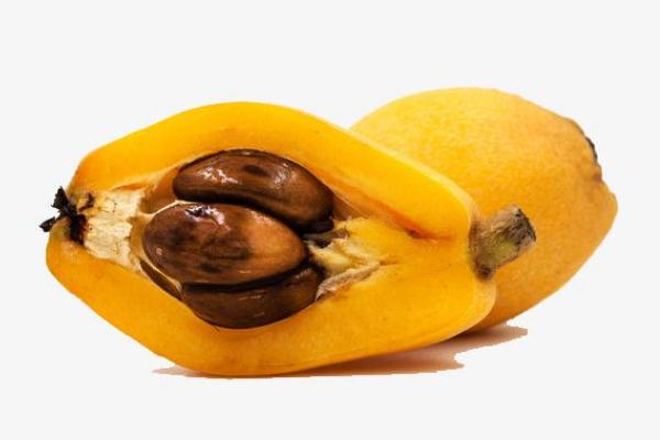 枇杷有幾個(gè)果核 枇杷果核可以吃嗎 枇杷有幾個(gè)果核 枇杷果核可以吃嗎