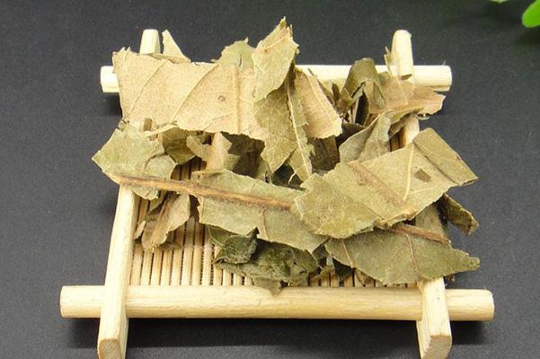 枇杷葉的食用方法 枇杷葉的副作用 枇杷葉的食用方法 枇杷葉的副作用