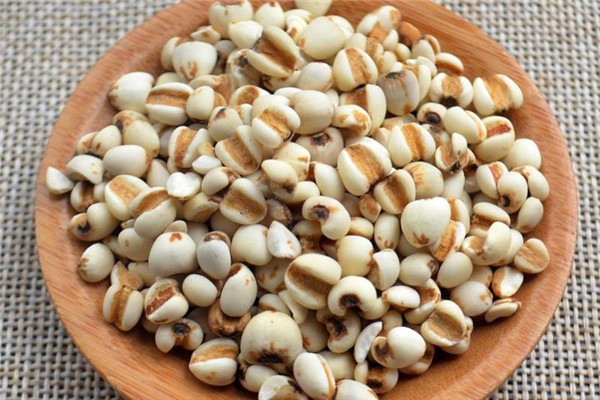 薏米可以去濕氣嗎 薏米怎么吃最除濕 薏米可以去濕氣嗎 薏米怎么吃最除濕