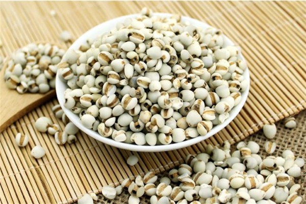 薏米需要炒嗎 薏米需要炒多久 薏米需要炒嗎 薏米需要炒多久