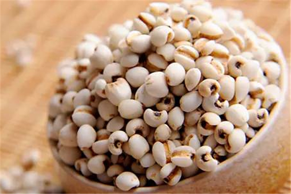 薏米可以去濕氣嗎 薏米怎么吃最除濕 薏米可以去濕氣嗎 薏米怎么吃最除濕
