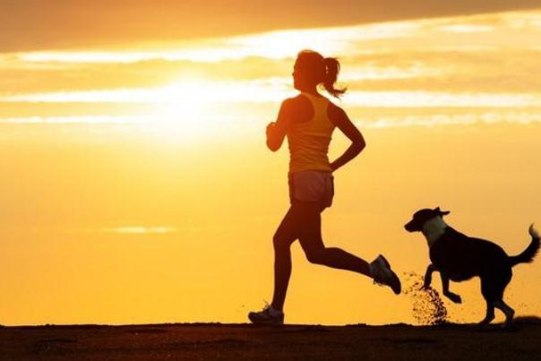 跑步要戴護膝嗎 跑步要穿什么衣服 跑步要戴護膝嗎 跑步要穿什么衣服