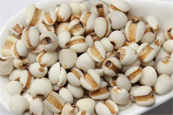 薏米可以去濕氣嗎 薏米怎么吃最除濕 薏米可以去濕氣嗎 薏米怎么吃最除濕