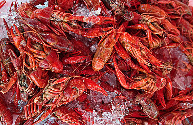 小龍蝦怎么判斷熟沒熟 小龍蝦煮多久才熟 小龍蝦怎么判斷熟沒熟 小龍蝦煮多久才熟