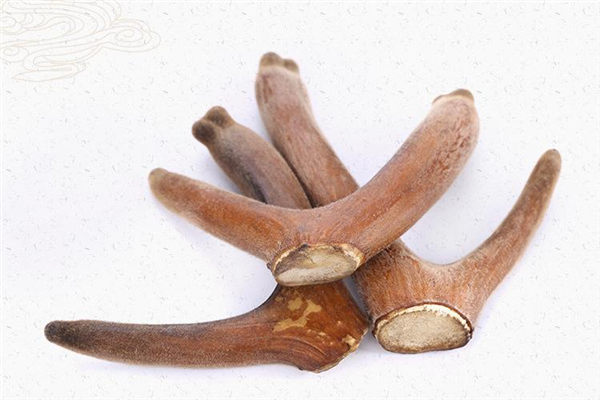 假鹿茸是什么做的 假鹿茸對人體有什么傷害 假鹿茸是什么做的 假鹿茸對人體有什么傷害