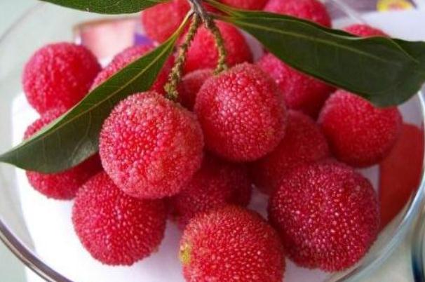 楊梅有蟲(chóng)子正常嗎 楊梅有蟲(chóng)子吃了沒(méi)事吧 楊梅有蟲(chóng)子正常嗎 楊梅有蟲(chóng)子吃了沒(méi)事吧