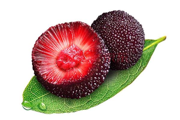 楊梅如何清洗 楊梅怎么洗蟲子能出來(lái) 楊梅如何清洗 楊梅怎么洗蟲子能出來(lái)