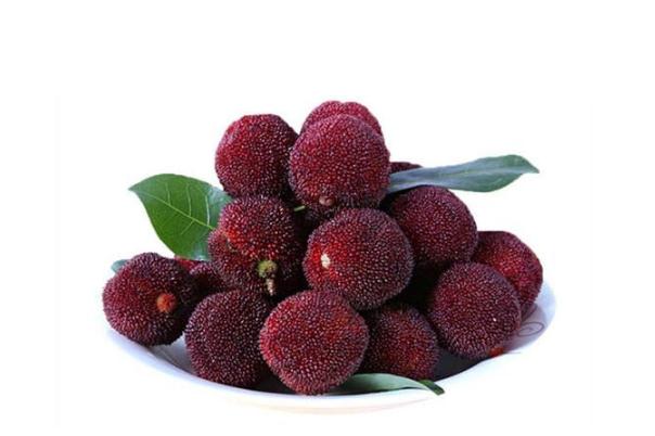 楊梅是幾月份的水果 楊梅是涼性還是熱性 楊梅是幾月份的水果 楊梅是涼性還是熱性