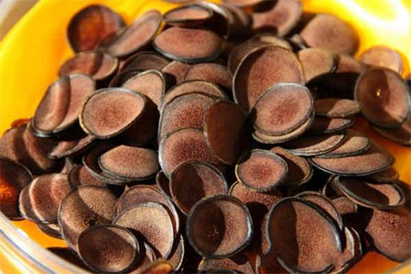 假鹿茸是什么做的 假鹿茸對人體有什么傷害 假鹿茸是什么做的 假鹿茸對人體有什么傷害