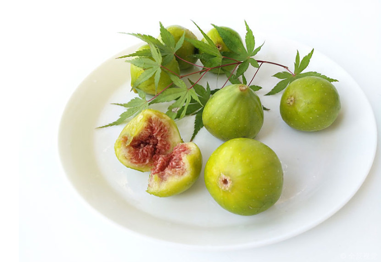 無花果葉子泡酒可以治療白斑嗎 無花果葉煮水治療婦科炎癥 無花果葉子泡酒可以治療白斑嗎 無花果葉煮水治療婦科炎癥