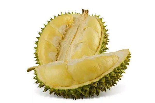 榴蓮要怎么存放 榴蓮要放冰箱嗎 榴蓮要怎么存放 榴蓮要放冰箱嗎