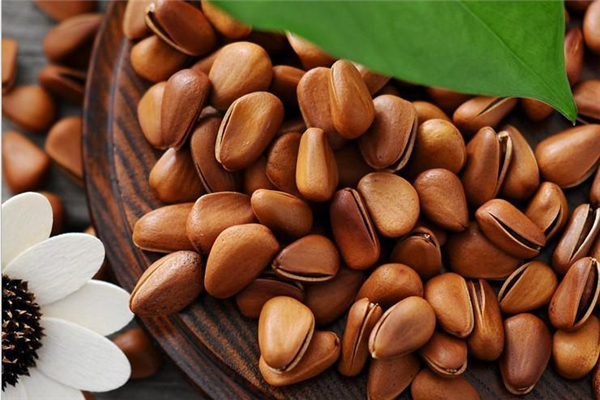 松子有點(diǎn)苦是怎么回事 松子苦了還能吃嗎 松子有點(diǎn)苦是怎么回事 松子苦了還能吃嗎