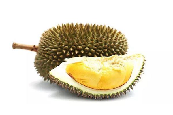 榴蓮可以緩解痛經(jīng)么 榴蓮可以放多長(zhǎng)時(shí)間 榴蓮可以緩解痛經(jīng)么 榴蓮可以放多長(zhǎng)時(shí)間