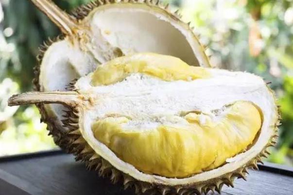 榴蓮要怎么存放 榴蓮要放冰箱嗎 榴蓮要怎么存放 榴蓮要放冰箱嗎