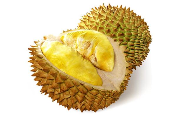 榴蓮吃了會長胖嗎 榴蓮的熱量高不高 榴蓮吃了會長胖嗎 榴蓮的熱量高不高