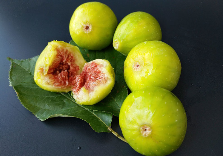 無花果葉子泡酒可以治療白斑嗎 無花果葉煮水治療婦科炎癥 無花果葉子泡酒可以治療白斑嗎 無花果葉煮水治療婦科炎癥