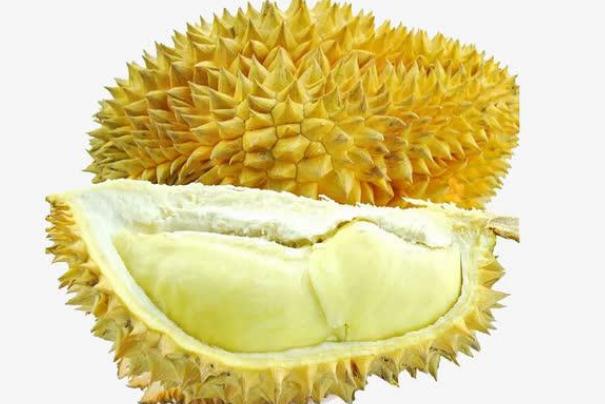 榴蓮可以緩解痛經(jīng)么 榴蓮可以放多長(zhǎng)時(shí)間 榴蓮可以緩解痛經(jīng)么 榴蓮可以放多長(zhǎng)時(shí)間