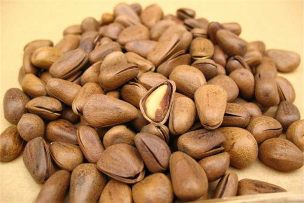 松子有點(diǎn)苦是怎么回事 松子苦了還能吃嗎 松子有點(diǎn)苦是怎么回事 松子苦了還能吃嗎