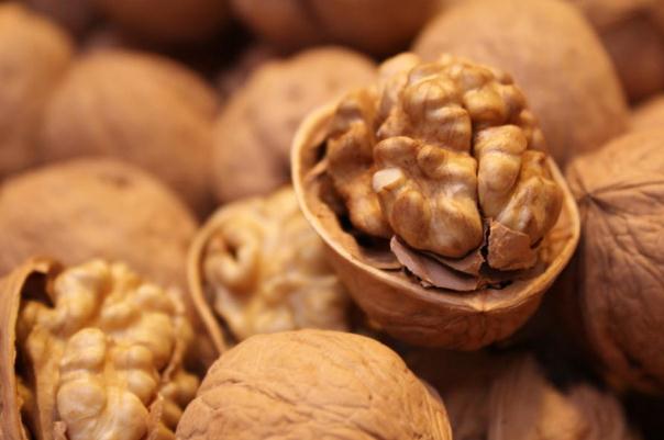 核桃真的能補(bǔ)腦嗎 核桃可以補(bǔ)腎嗎 核桃真的能補(bǔ)腦嗎 核桃可以補(bǔ)腎嗎