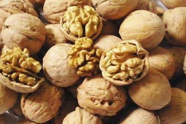 核桃的功效與作用禁忌 經(jīng)常吃核桃有什么好處 核桃的功效與作用禁忌 經(jīng)常吃核桃有什么好處