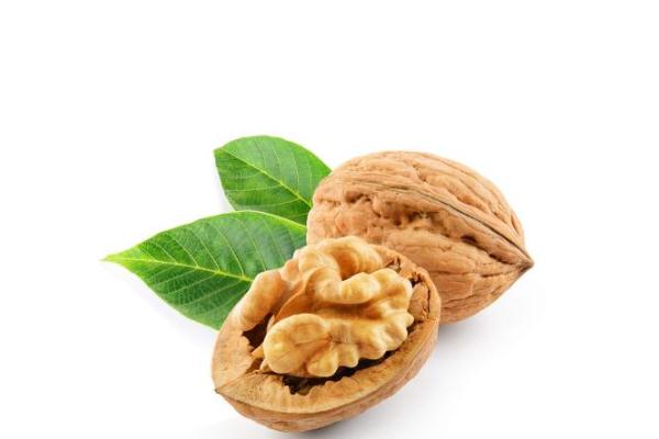 核桃的功效與作用禁忌 經(jīng)常吃核桃有什么好處 核桃的功效與作用禁忌 經(jīng)常吃核桃有什么好處