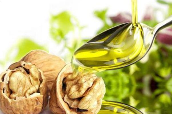 核桃可以榨油嗎 核桃榨油一斤出幾兩油 核桃可以榨油嗎 核桃榨油一斤出幾兩油