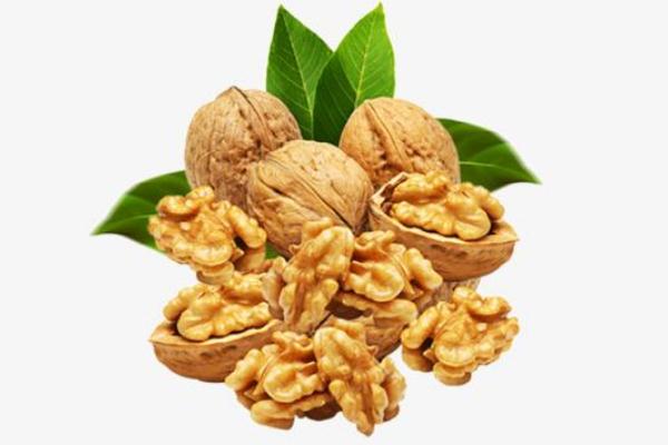 核桃能放多長時間 核桃肉放久了會怎么樣 核桃能放多長時間 核桃肉放久了會怎么樣