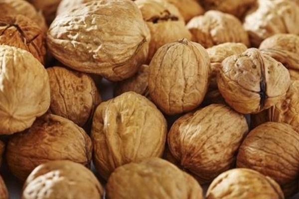 核桃有幾種品種 核桃什么品種最好 核桃有幾種品種 核桃什么品種最好