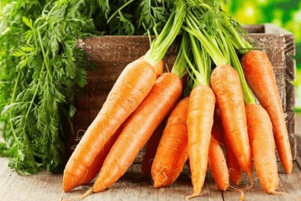 胡蘿卜有點(diǎn)軟了還能吃嗎 胡蘿卜有點(diǎn)爛了還能吃嗎 胡蘿卜有點(diǎn)軟了還能吃嗎 胡蘿卜有點(diǎn)爛了還能吃嗎