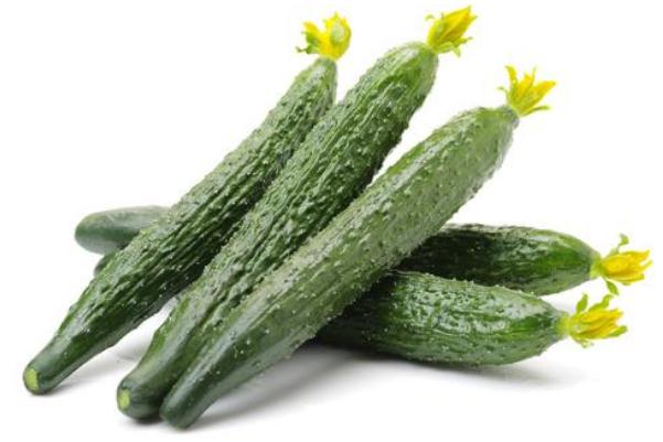 黃瓜的功效與作用 黃瓜的營(yíng)養(yǎng)價(jià)值 黃瓜的功效與作用 黃瓜的營(yíng)養(yǎng)價(jià)值