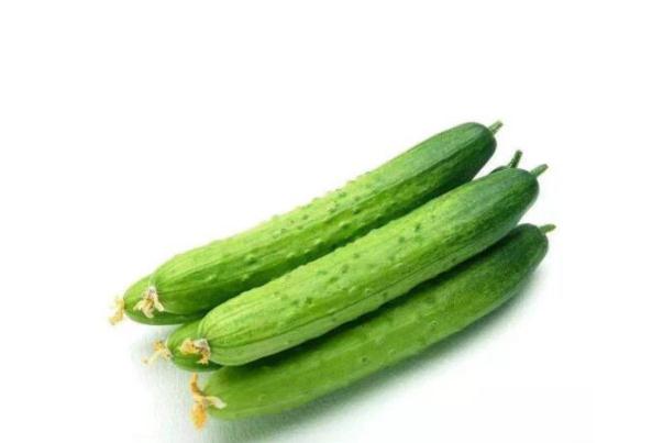 黃瓜是幾月份的應季蔬菜 黃瓜是水果還是蔬菜 黃瓜是幾月份的應季蔬菜 黃瓜是水果還是蔬菜