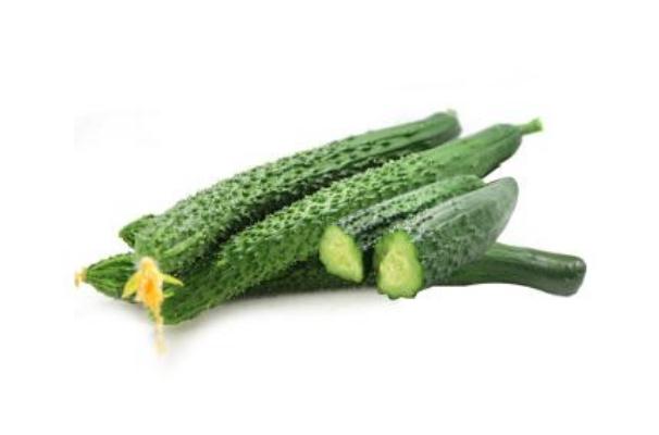 黃瓜有花能吃嗎 黃瓜花可以吃嗎 黃瓜有花能吃嗎 黃瓜花可以吃嗎