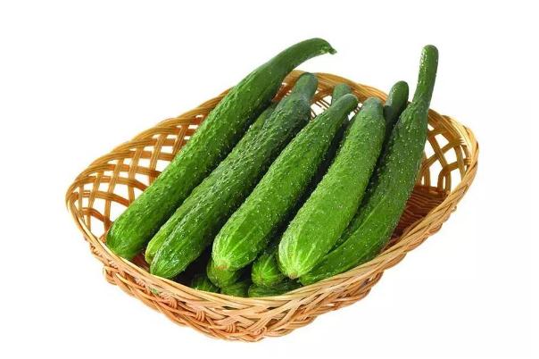 黃瓜有花能吃嗎 黃瓜花可以吃嗎 黃瓜有花能吃嗎 黃瓜花可以吃嗎