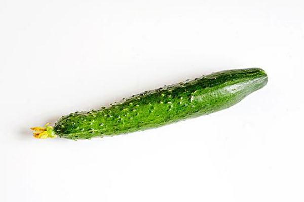 黃瓜的功效與作用 黃瓜的營(yíng)養(yǎng)價(jià)值 黃瓜的功效與作用 黃瓜的營(yíng)養(yǎng)價(jià)值