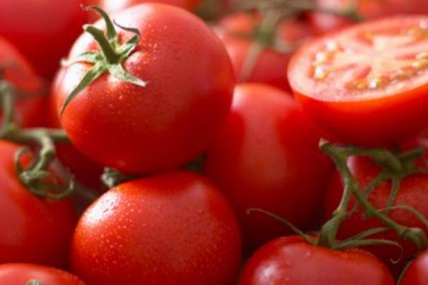 西紅柿生吃還是熟吃有營(yíng)養(yǎng) 西紅柿生吃能減肥嗎 西紅柿生吃還是熟吃有營(yíng)養(yǎng) 西紅柿生吃能減肥嗎