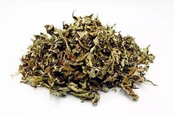 艾葉可以泡腳嗎 艾葉泡腳的方法是什么 艾葉可以泡腳嗎 艾葉泡腳的方法是什么