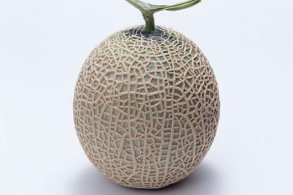 哈密瓜的營養(yǎng)價(jià)值及功效 哈密瓜的營養(yǎng)成分 哈密瓜的營養(yǎng)價(jià)值及功效 哈密瓜的營養(yǎng)成分