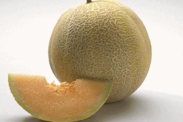 哈密瓜的皮可以吃嗎 哈密瓜的皮可以炒來吃嗎 哈密瓜的皮可以吃嗎 哈密瓜的皮可以炒來吃嗎