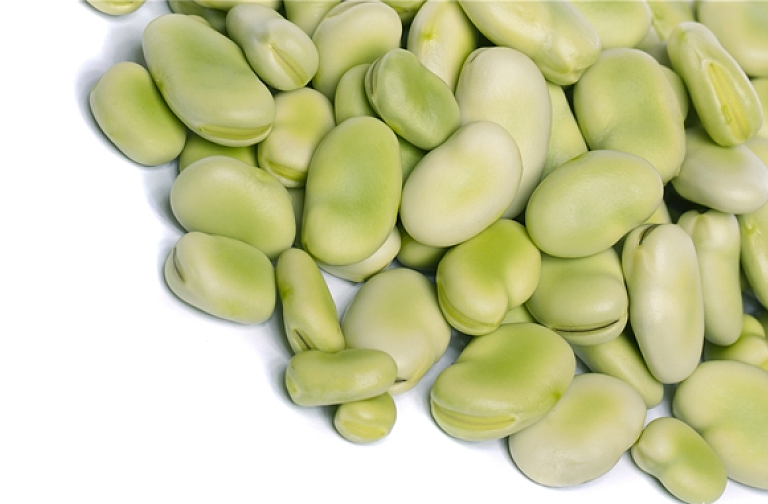 蠶豆的營養(yǎng)價值 蠶豆可以和雞蛋一起吃嗎